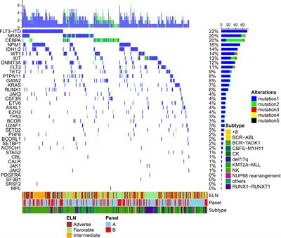 Development of a Nomogram for Predicting the Cumulative Incidence of Disease Recurrence of AML After Allo-HSCT